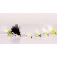 Flash Attack Craig's Cat's Whiskers Trout Fly Selection - 6 Pack - OpenSeason.ie