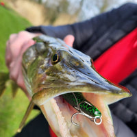  Pike caught on Lough Derg using Forge of Lures Rolf Sinking Jerkbait Pike Lure
