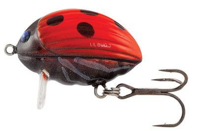 Salmo Lil'Bug Floating Crankbait Lure | Ladybird