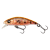 Savage Gear SG2 Revenge Trout Package