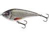Westin Swim Glidebait Suspending Lure in Real  Roach pattern