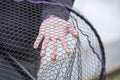 Wychwood Agitator Predator Net HD Replacement Mesh