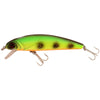 Abu Garcia Tormentor & Protector Trout Package