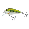 Salmo Butcher Sinking Perch Lure