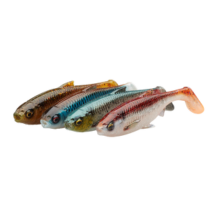 Savage Gear 3D River Roach Clear Water 4 Pack Lure Mix | OpenSeason.ie Irish Fishing Tackle Shop