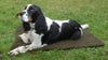 ShooterKing Dog Bed | Dog Training Equipment Ireland at OpenSeason.ie