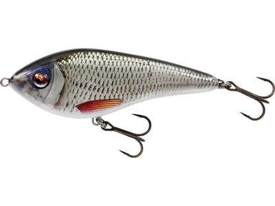 Westin Swim Glidebait Sinking Lure | Real Roach | OpenSeason.ie Irish Fishing Tackle Shop