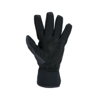 Sealskinz Waterproof All-Weather Lightweight Insulated Gloves