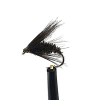OpenSeason.ie Wet Trout Flies for Sale Ireland | Black & Peacock Spider