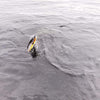 Behr Trendex Multi-Jointer SLS Pike Lure in Action on Lough Derg | OpenSeason.ie