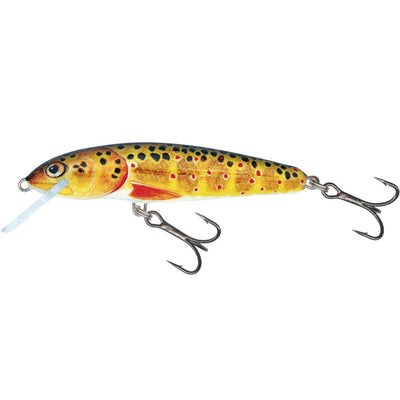 Salmo Minnow Lure - Crankbait Wobbler Trout.jpg